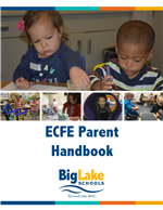 ECFE Handbook 